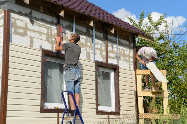 Best Insulated Siding Installation  in Rupert, ID